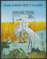 1980 Madarak IX. - Védett vízimadarak vágott blokk (6.000)