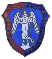 1930 k. "Sárospataki Református Gimnázium" zománcozott bronz iskolajelvény (35x40mm) T:XF,...