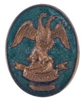 1900 k. Fiume címerét ábrázoló zománcozott bronz jelvény (23x28mm) T:XF,VF zománchiba, tű hiányzik
