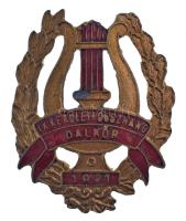 1930 k. "IX. Kerületi Összhang Dalkör" zománcozott bronz dalos jelvény (28x35mm) T:XF