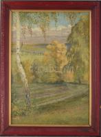 Jelzés nélkül, feltehetően XX. sz. eleje: Napfényes táj. Olaj, vászon, dublírozott, fakeretben, 45×3...