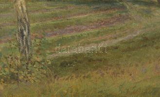 Jelzés nélkül, feltehetően XX. sz. eleje: Napfényes táj. Olaj, vászon, dublírozott, fakeretben, 45×3...