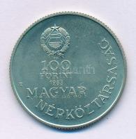 1983. 100Ft alpakka "Széchenyi István" T:BU patina
Adamo EM74