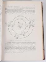Manninger Rezső - Kotlán Sándor: A szárnyas baromfi fertőző és parasitás betegségei. Bp., 1931, Stád...