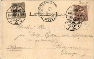1900 Győr, pályaudvar, vasútállomás, vonat. Berecz Viktor kiadása (vágott / cut)