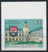 1990 Ifjúságért XIV. - Bélyegkiállítás - Sárospatak vágott ívszéli bélyeg