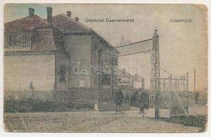 1918 Cservenka, Crvenka; cukorgyár (Angol-Magyar Cukoripar R.T.) / sugar factory (ázott / wet damage...