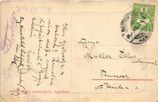 Nagykikinda, Kikinda; Vásár utca, üzletek. Pannónia papírkereskedés kiadása 1453. (W.L. ?) / street ...