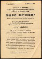 Fővárosi Nagycirkusz