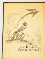 Muralt - Legler: Beresina. Erinnerungen aus der Feldzug Napoleons I in Russland 1812. Bern, Verlag H...
