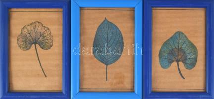 3 db faleveleket ábrázoló dekorációs kép, üvegezett keretben, külső méret: 17x12 cm