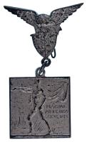 1925. "Magyar Athletikai Szövetség" egyoldalas, ezüstözött bronz díjérem, "LUDVIG BP&...