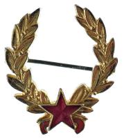 1963. "Állami díj I. fokozat" aranyozott bronz kitüntetés, részben zománcozott (22x25mm) T...