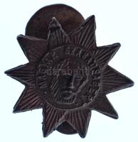 1946. "Magyar Szabadság Érdemrend" bronz fokozatának miniatűr gomblyukjelvénye, Kossuth La...