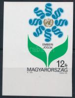 1991 Emberi Jogok Egyetemes Nyilatkozata (II.) ívsarki vágott szelvényes bélyeg (5.000)