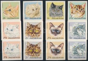 1968 Macskák vágott sor függőleges párokban (16.000)