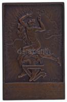 Svédország 1929. "Idrottsklubben Göta Stockholm" (Sportklub) egyoldalas bronz díjérem, &qu...