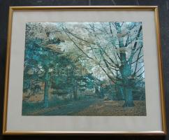 Tájkép ezüstözött 32x27,5cm