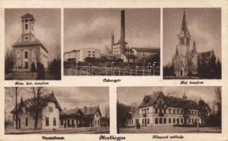 Mezőhegyes Cukorgyárral és Vasútállomással (fa)