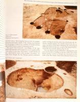 Hungarian Archeology at the Turn of the Millennium. Prof. Dr. Fodor István (1943-2021) régész, a Mag...