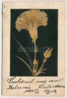 1904 Kolozsvár, Cluj; préselt élővirágos képeslap / dried real flower postcard (non PC) (fa)