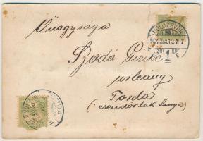 1904 Kolozsvár, Cluj; préselt élővirágos képeslap / dried real flower postcard (non PC) (fa)