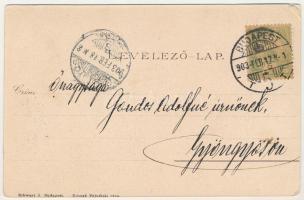 1903 Pálmay Ilka. Schwarcz J. kiadása (EK)