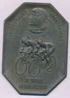 1943. "Mátyás király sportév 1943 - A sport honvédelem" kerékpáros, egyoldalas, hadifém pl...