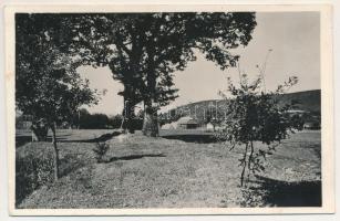 Zágon, Zagon; Mikes Kelemen tölgyfái. Lapikás Béla kiadása / the oak trees of Kelemen Mikes