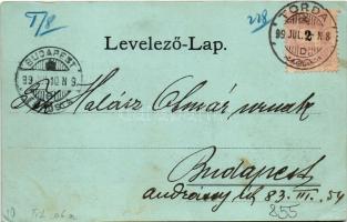 1899 Torda, Turda; Torda-Aranyos vármegyeháza, sóbánya bejárata, híd, Tordai hasadék / Turda-Aries c...