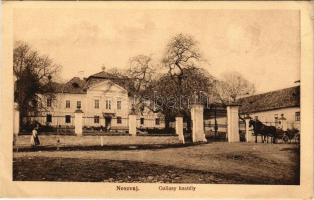 Noszvaj, De la Motte kastély (tévesen Gallasy-Galassy kastély). Hollenzer műterméből (EB)