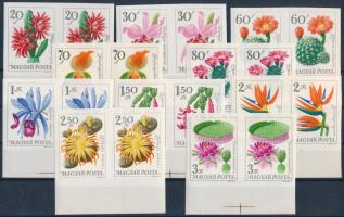 1965 Virág VI. - Botanikus kertek virágai I. vágott sor ívszéli párokban (11.000)