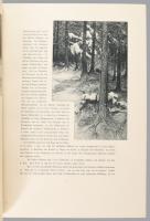 Allers, Christian Wilhelm ; Ganghofer, Ludwig: Das deutsche Jägerbuch : mit 12 Monatsbildern in Aqua...