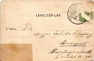1910 Iglófüred, Bad Zipser Neudorf, Spisská Nová Ves Kupele, Novovesské Kúpele; szálloda, fürdő / vi...