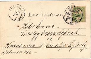 1902 Kassa, Kosice; Kassai dóm a parkkal. Egy és kétkoronás áruház kiadása / dom with park