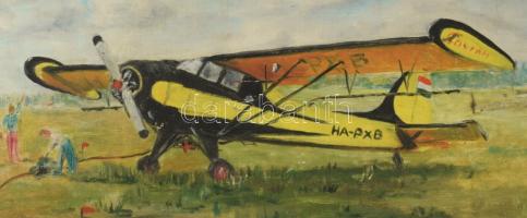 Bognár jelzéssel: HA-PXB lajstromjelű, PZL-101 Gawron típusú repülőgép, 1973. Olaj, vászon, fakeretb...