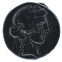 Róma, Köztársaság Kr.e. 90 / Denarius Ag (3,99g) T:XF,VF patina
Roman Republic 90 BC / Denarius Ag ...