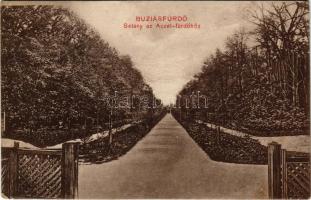 1911 Buziásfürdő, Baile Buzias; Sétány az Aczél fürdőhöz. Heksch Manó kiadása / road to the bathhous...