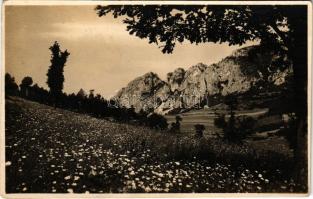 1934 Erdélyi-középhegység, Muntii Apuseni; Vederea din Muntii Apuseni. S. C. a T. Sectia Sebes Alba ...