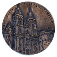 DN "Budapesti Egyetemi Templom 1748" egyoldalas, öntött bronz plakett (~115-116mm) T:AU