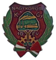 1970 k. "Nagykőrösi KGY (Konzervgyár) - 10 év" műgyantás törzsgárda jelvény (30x33mm) T:AU