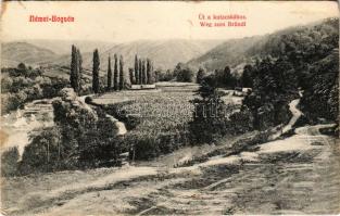 1909 Boksánbánya, Németbogsán, Bocsa Montana, Bocsa; út a kutacskához / Weg zum Bründl / road to the...