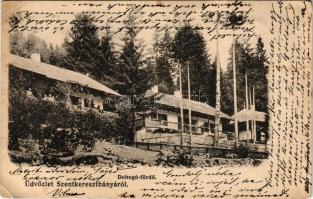 Szentkeresztbánya, Újvlahica, Mina Sfanta Cruce, Vlahica, Vlahita Noua, Minele Lueta (Szentegyháza, ...