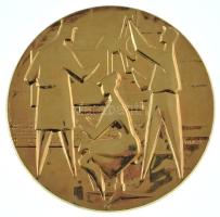 Vincze Dénes (1914-1972) 1966. Szocreál tudomány témájú egyoldalas, aranyozott bronz emlékérem (80mm...
