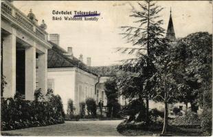1917 Tolcsva, Báró Waldbott kastély (fl)