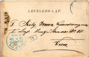 1901 Vép (Vas), Gróf Erdődy kastély, vár (fl)