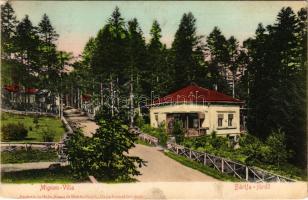 1906 Bártfa, Bártfafürdő, Bardejovské Kúpele, Bardiov, Bardejov; Mignon villa. Eschwig és Hajts kiad...