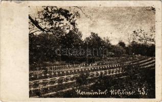 Román (?) katonai temető 43. / Romanian (?) military cemetery. photo (fl)
