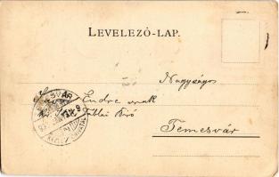 1900 Léva, Levice; várrom. Schulcz Ignác kiadása / Levicky hrad / castle ruins (EM)