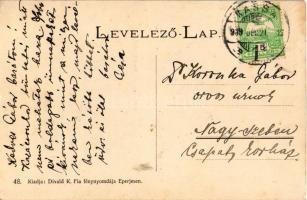 1909 Kassa, Kosice; Női gazdasági tanintézet, kerti fölvétel. Divald K. fia Eperjes 48. / girl schoo...